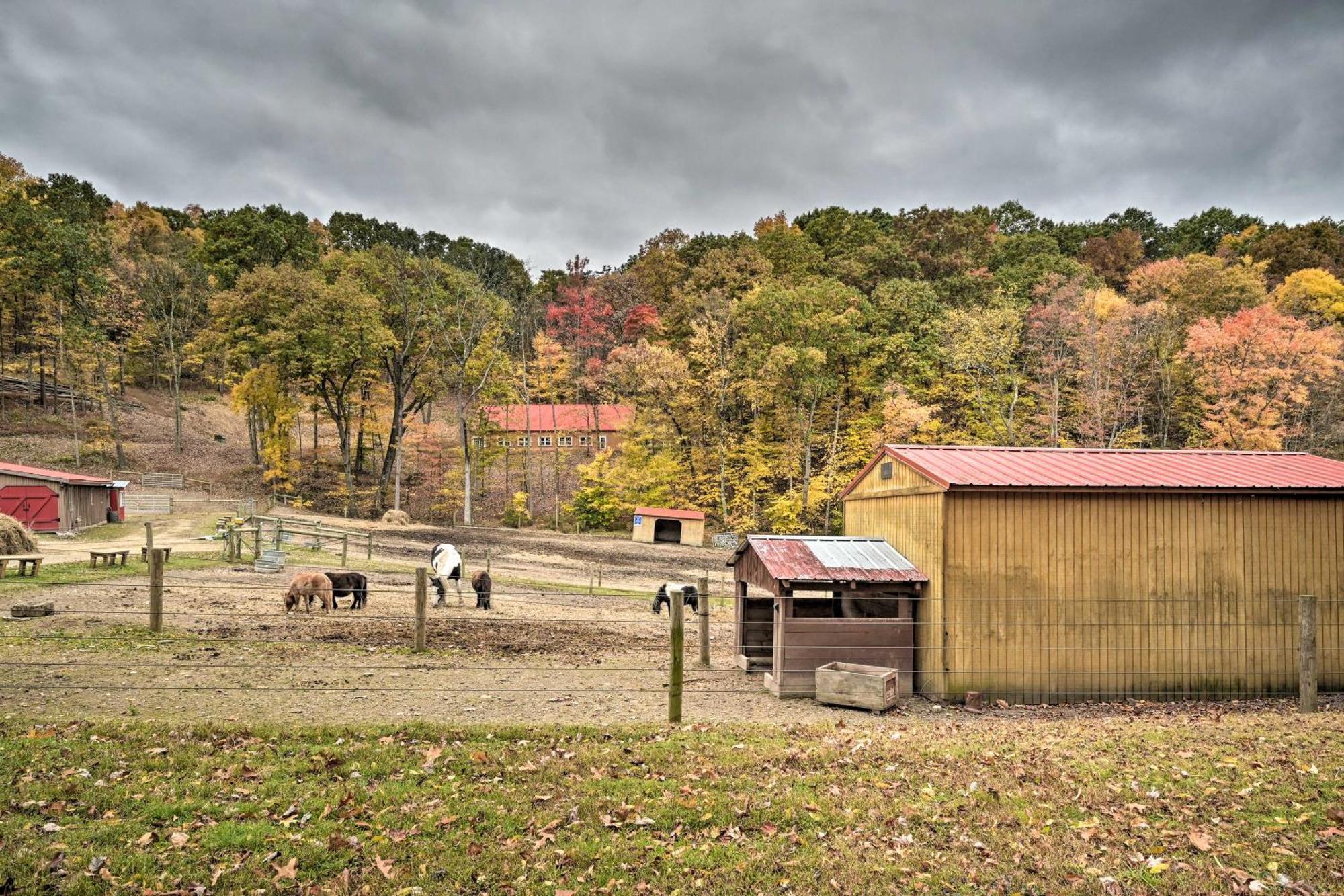 Lone Ranger Cabin With 50 Acres By Raystown Lake Huntingdon Eksteriør bilde